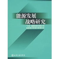 能源发展战略研究