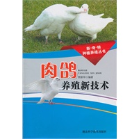 肉鸽养殖新技术