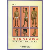 针灸腧穴彩色图谱