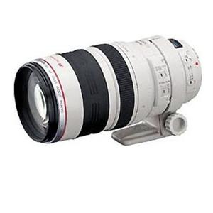 佳能100-400 IS 佳能 EF 100-400 mm F4.5-5.6 IS 镜头