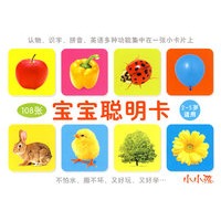 宝宝聪明卡：2-5岁适用（108张）