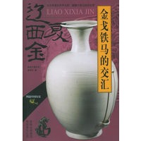 金戈铁马的交汇(辽西夏金)/图说中国历史