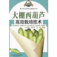 大棚西葫芦高效栽培技术—跟王乐义学种大棚菜