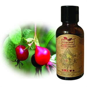 玫瑰汇香舍 玫瑰果油100ml