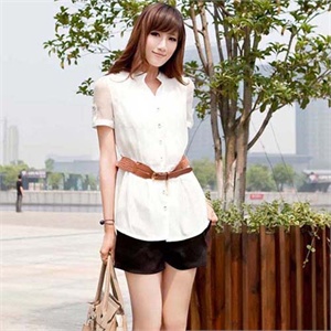 薇茹 2012夏季新款韩版优雅立领 超显气质雪纺衫WRQY0019
