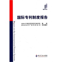国际专利制度报告