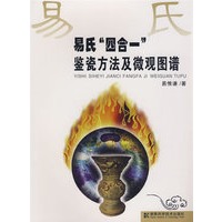 易氏“四合一”鉴瓷方法及微观图谱