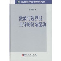 激波与边界层主导的复杂流动