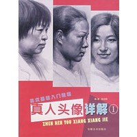 真人头像详解1/美术基础入门教程