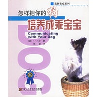 怎样把你的狗培养成乖宝宝