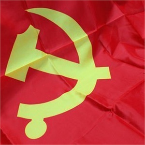 党旗 旗帜0080XX 中国党旗5号 64*96cm