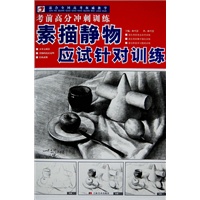 考前高分冲刺训练：素描静物应试针对训练