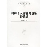 绝缘子及输变电设备外绝缘/清华大学学术专著
