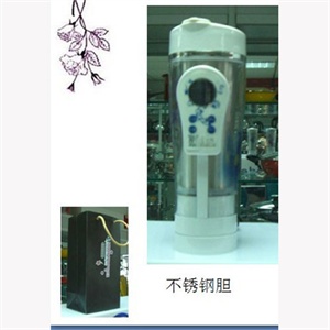 松雷陶瓷保温电水壶/陶瓷电热水壶SL-508A（脸谱）