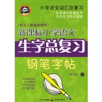 新课标小学语文生字总复习钢笔字帖