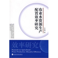 农业水资源生产配置效率研究
