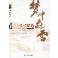 梦中飞雪