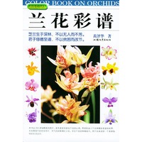 兰花彩谱