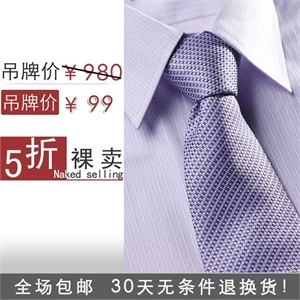 【nonbrand】高端100%桑蚕丝紫色碎花领带33