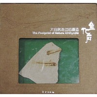 大自然走过的痕迹——鱼化石