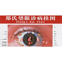 郑氏望眼诊病挂图