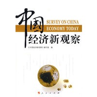 中国经济新观察（J）