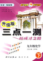 三点一测：九年级化学 下（科学-粤教版 升级版）