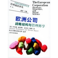 欧洲公司：战略结构与管理科学——管理前沿译丛·第二辑