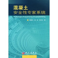 混凝土安全性专家系统