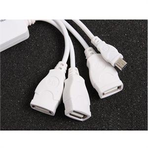 SSK飚王 八爪鱼 USB扩展HUB SHU010-C 4个扩展接口/YXW
