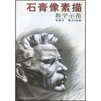 石膏像素描教学示范