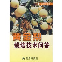 黄金梨栽培技术问答