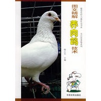 图文精解养肉鸽技术——建设农村小康社会书系·无公害养殖系列