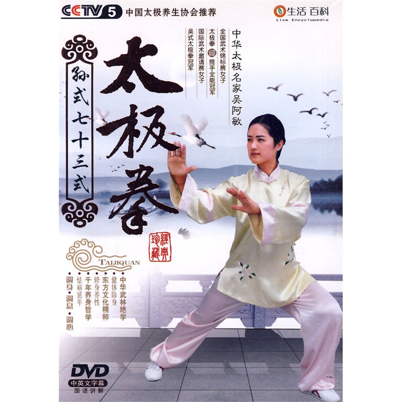 孙式七十三式太极拳(dvd)