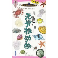 形形色色的无脊椎动物