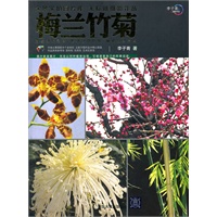 梅兰竹菊