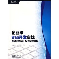企业级Web开发实战——JSF/RichFaces,ExtJS实战剖析（附光盘）