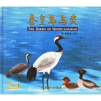 秦皇岛鸟类