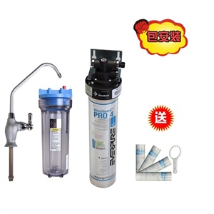 美国爱惠浦PRO4净水器净水机家用厨房直饮过滤器高密度