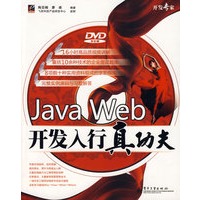 Java Web 开发入行真功夫（含光盘）