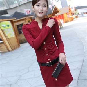 2011 春装新款 纯美简约OL通勤精致连衣裙805