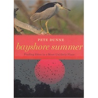 Bayshore Summer（ISBN=9780547195636）