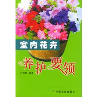 室内花卉养护要领