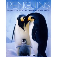Penguins 企鹅