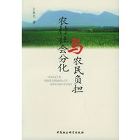 农村社会分化与农民负担
