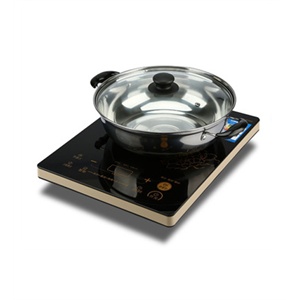 九阳全新正品 电磁炉 JYC-21HEC02