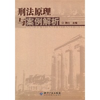 刑法原理与案例解析