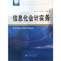 信息化会计实务