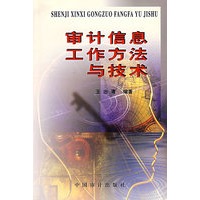 审计信息工作方法与技术