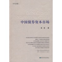 中国债券资本市场（中文修订版）